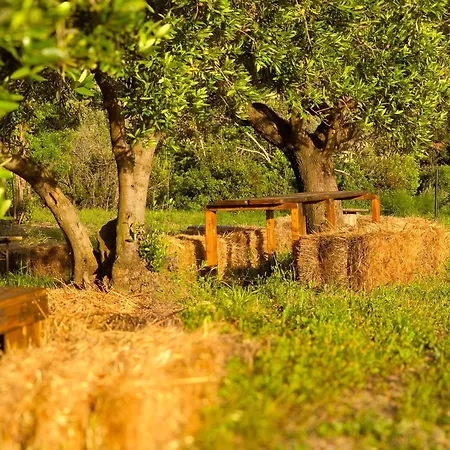 Luxusní stan Le Piane Agriglamping *