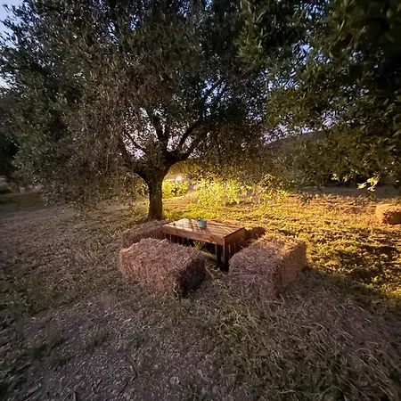 Οργανωμένο κάμπινγκ Le Piane Agriglamping *