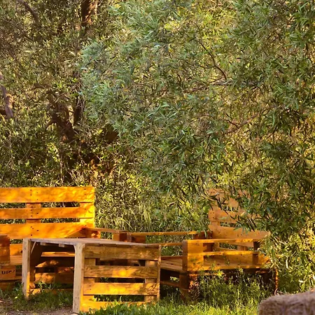 Le Piane Agriglamping Οργανωμένο κάμπινγκ