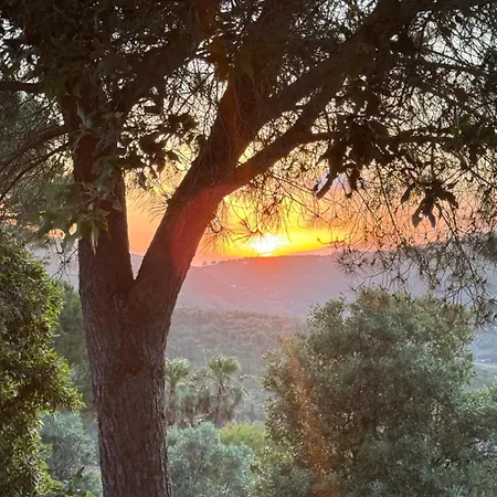 Le Piane Agriglamping אוהל מפואר