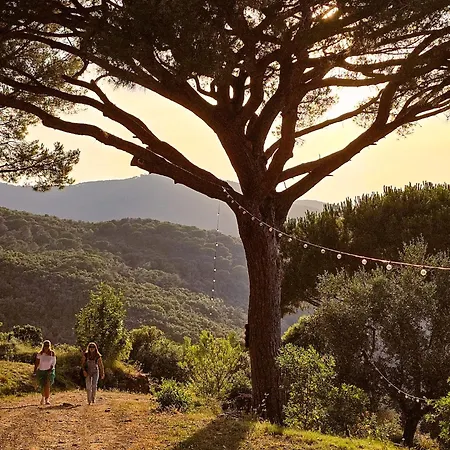 Le Piane Agriglamping Οργανωμένο κάμπινγκ Le Foci