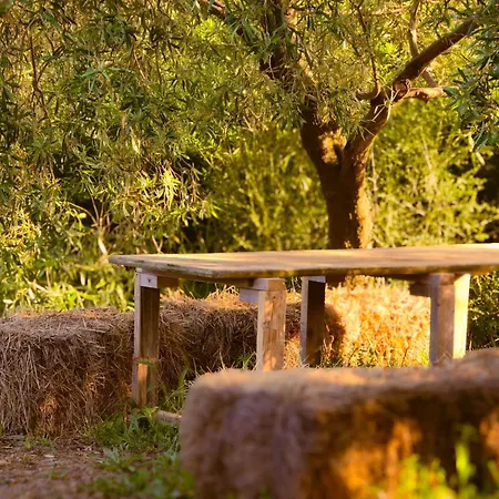 אוהל מפואר Le Piane Agriglamping