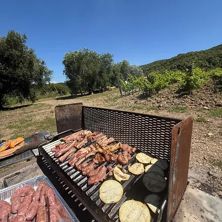 Luksusowy namiot Le Piane Agriglamping *
