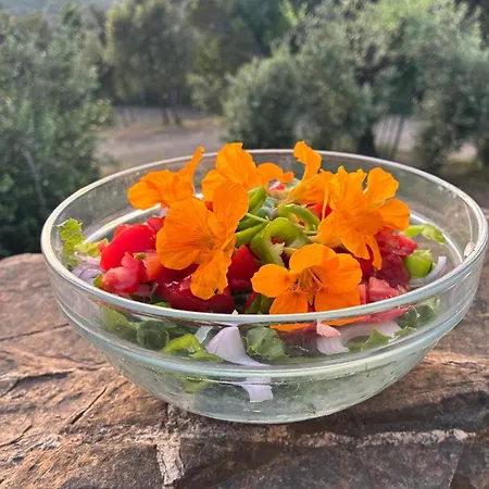 Le Piane Agriglamping Οργανωμένο κάμπινγκ
