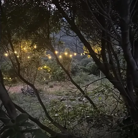 Οργανωμένο κάμπινγκ Le Piane Agriglamping