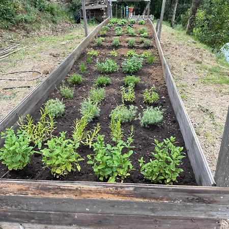 Le Piane Agriglamping Le Foci